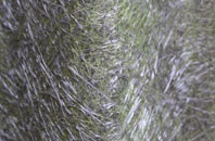 Clopton Green fibreglass roof work